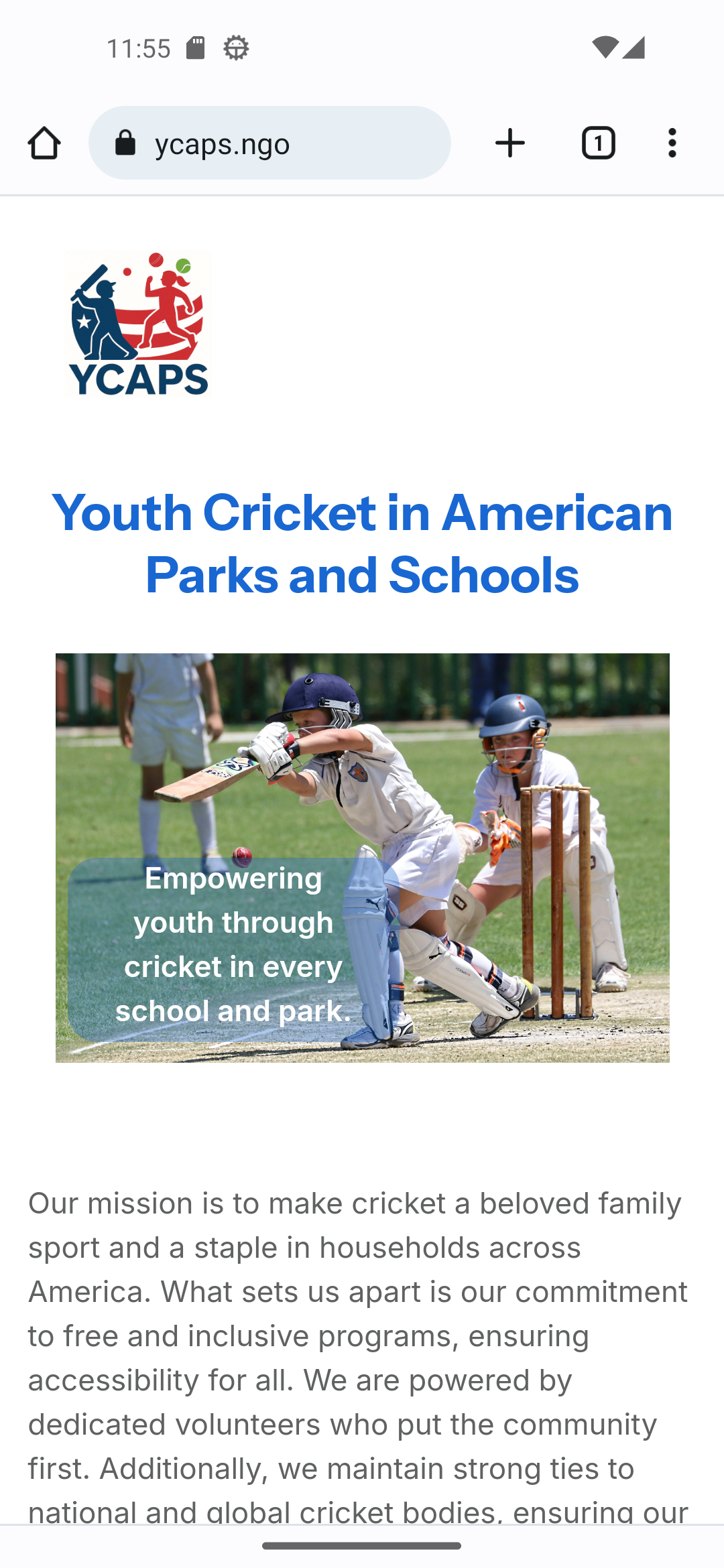 Youth Cricket in American Parks and Schools